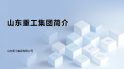 20260228山东沉工必赢网络游戏平台简介（中文）_Page1
