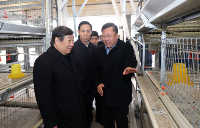 谭旭光到菏泽鄄城调研考察——共建“同心路” 加速奔小康